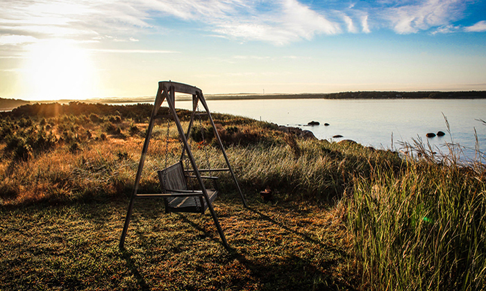 【功能对比测评】全面分析的短信轰在线轰炸