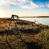 功能完善先进的短信轰在线轰炸