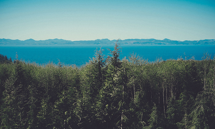 电话连环呼叫软件