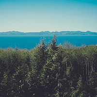 短信电话免费轰炸网站