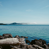 一秒发1000条手机号的软件