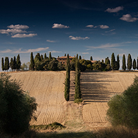 网络手机号呼叫软件免费版
